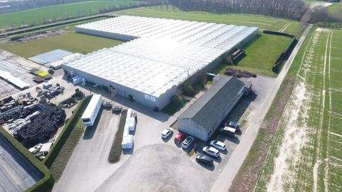 Dortmund Halle, Dortmund Hallenfläche