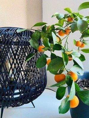 .. etwas Besonderes !