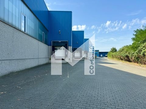 Monheim am Rhein Halle, Monheim am Rhein Hallenfläche