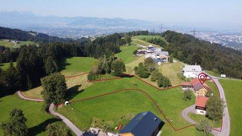 Bildstein Bauernhöfe, Landwirtschaft, Bildstein Forstwirtschaft