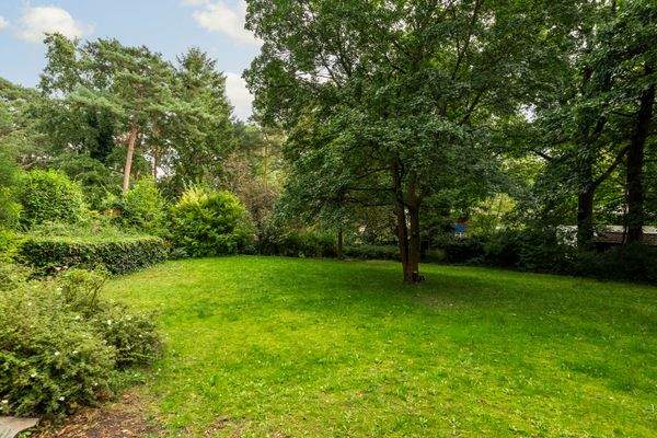 Großer gepflegter Gemeinschaftsgarten