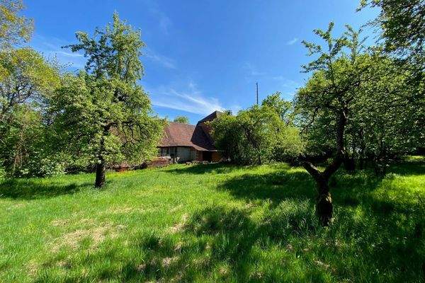 Garten mit Blick auf die Scheune