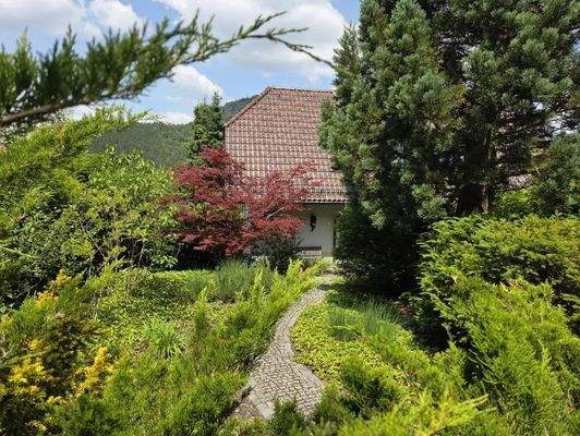 Zugang Haus Erdgeschoss