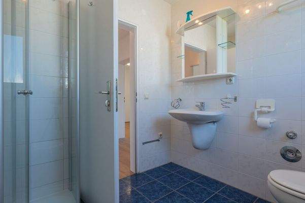 Tageslichtduschbad (2)