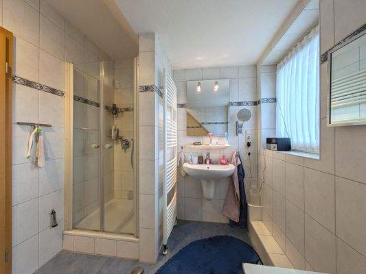 Ansicht Dusche und Wascharmatur