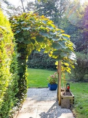 Zugang zum rückwärtigen Garten 