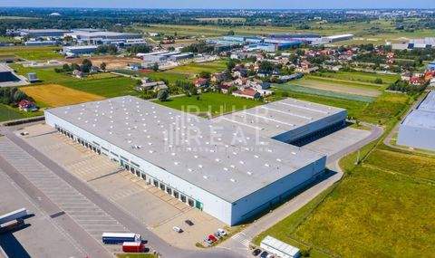 Viersen Halle, Viersen Hallenfläche