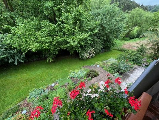 Garten (2)