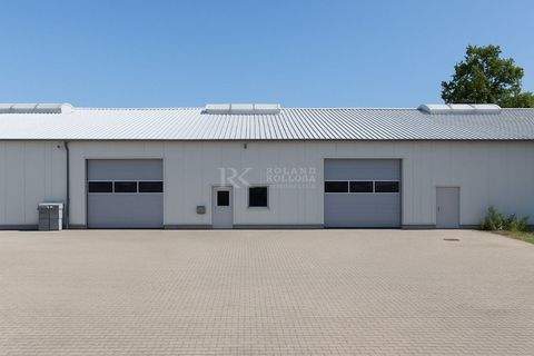 Henstedt-Ulzburg Halle, Henstedt-Ulzburg Hallenfläche