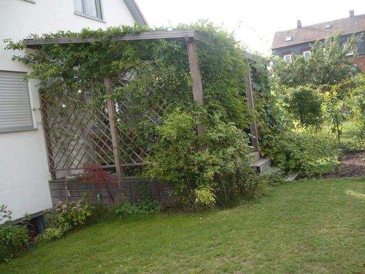 Eingewachsene Terrasse