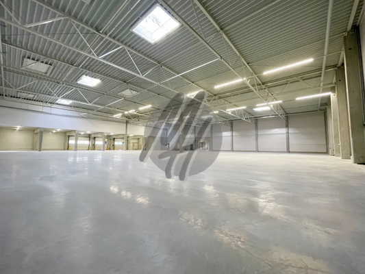 INFOS UNTER: 06171-586000