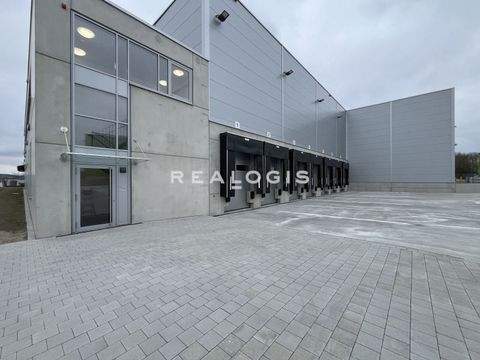 Sulz am Neckar Halle, Sulz am Neckar Hallenfläche