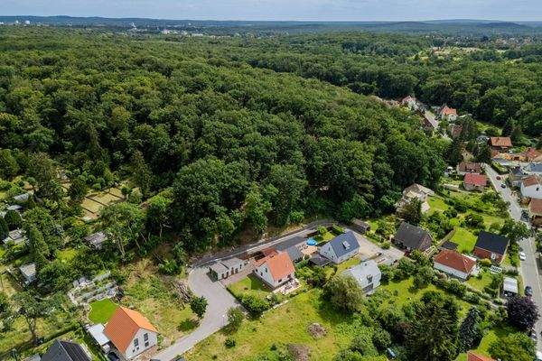 Blick in den Katharinenholz