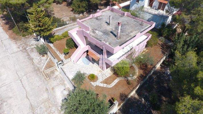 DJI_0868 - Αντιγραφή