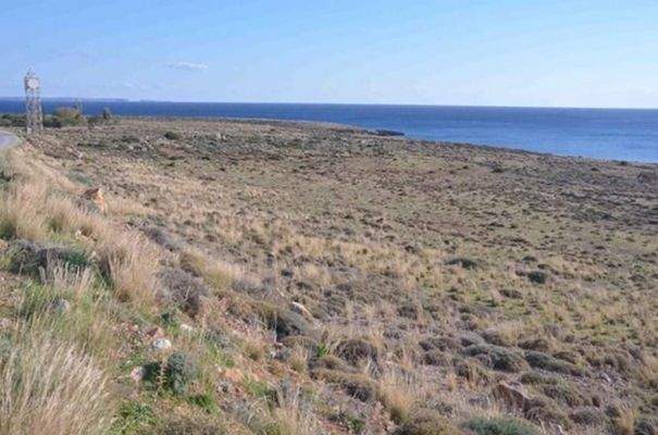 Kreta, Kalo Nero: Einzigartiges Hotelentwicklungsgrundstück direkt am Meer zu verkaufen