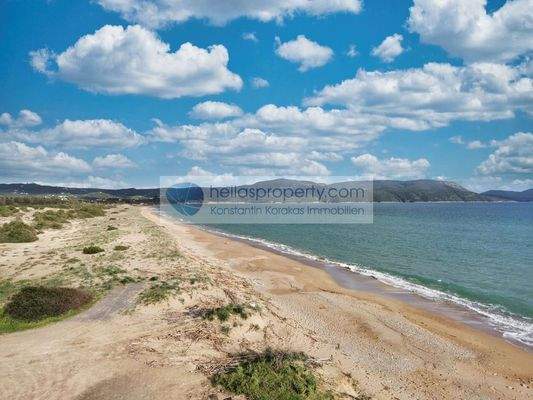 707e5ae269d84bb0a0a5e724f679a915-original