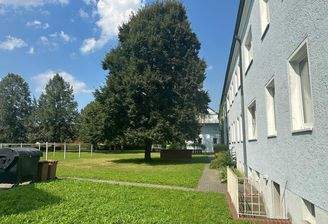 WhatsApp Image 2024-08-30 at 13.33.17 (14).jpeg