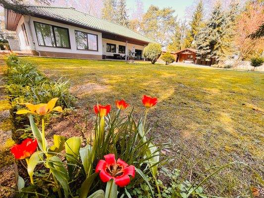 Blick in Richtung Bungalow