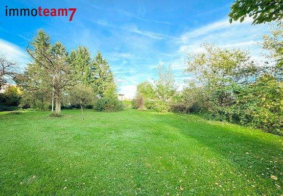 Grundstück_kaufen_Fussach_immoteam7