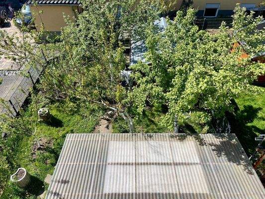 Gartensicht vom 2. OG (Loggia)