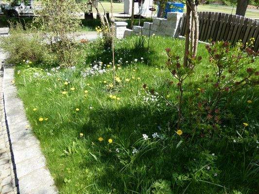 Grünfläche im Grundstück