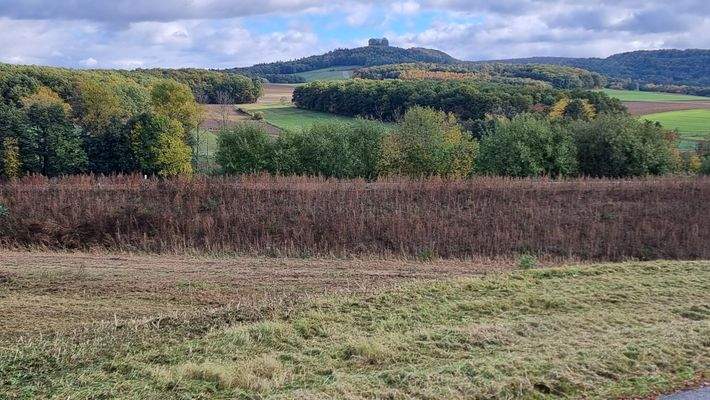 Aussicht - Veitsberg