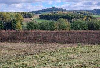 Aussicht - Veitsberg