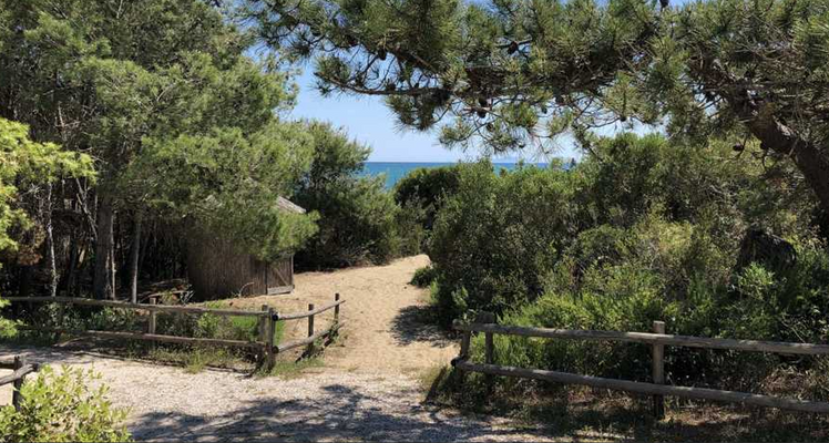 Screenshot 2025-04-28 094930.png