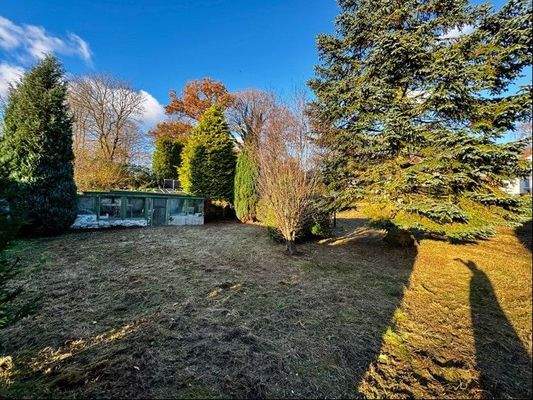 Garten hinterster Bereich