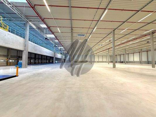 INFOS UNTER: 06171-586000