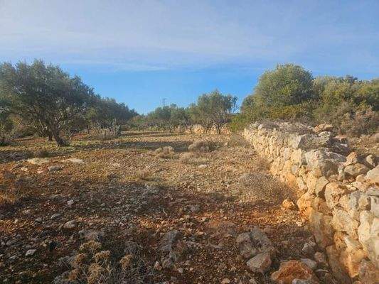 Kreta, Agios Nikolaos: Großes Baugrundstück mit herrlichem Meerblick zu verkaufen
