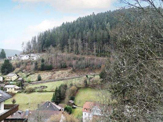 Wohnen mitten im Schwarzwald