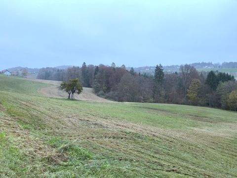 Kirchbach-Zerlach Bauernhöfe, Landwirtschaft, Kirchbach-Zerlach Forstwirtschaft