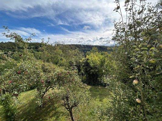 Blick vom Balkon in den Garten