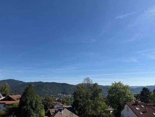 Aussicht Balkon 1. OG