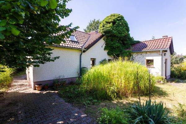 Blick vom hinteren Gartenbereich