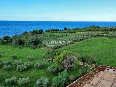 Centar, Luka, Finida Häuser, Centar, Luka, Finida Haus kaufen