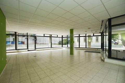 Zwickau Ladenlokale, Ladenflächen 