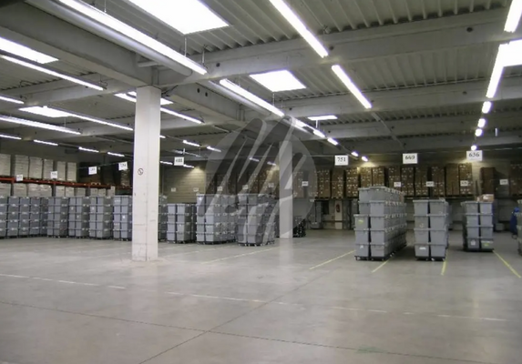 INFOS UNTER: 06171-586000