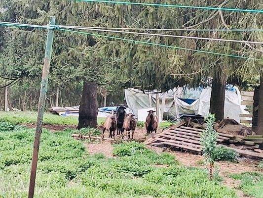 Zukünftige Mitbewohner?