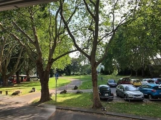 Blick zum Park und Rhein (mit Laub an den Bäumen)