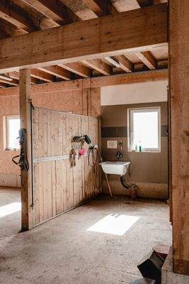 Putz- und Sattelbereich