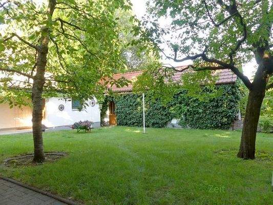 schöner grüner Innenhof