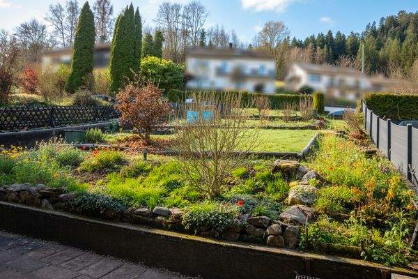 Garten Sommer Sunset