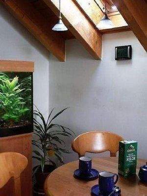 Essplatz mit neuem Dachflächenfenster