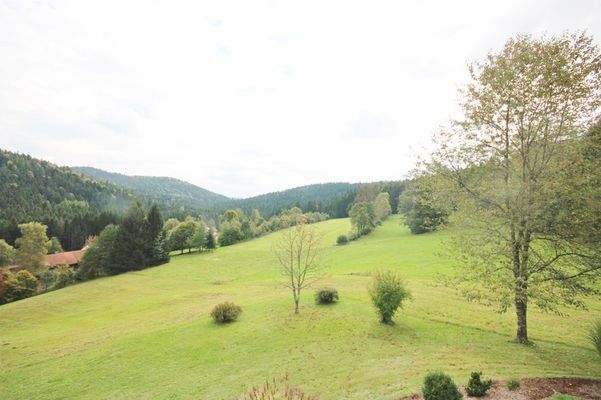 Blick vom Balkon (OG)