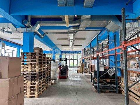 Elixhausen Halle, Elixhausen Hallenfläche