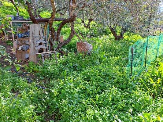 WhatsApp Image 2025-01-30 at 15.11.11_6feba276.jpg