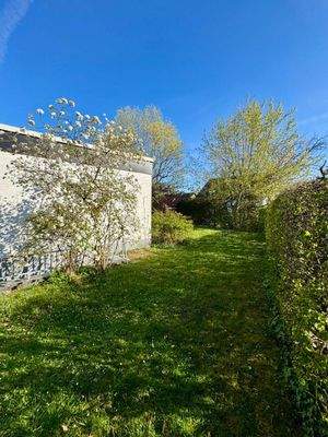 Einblicke in den Garten