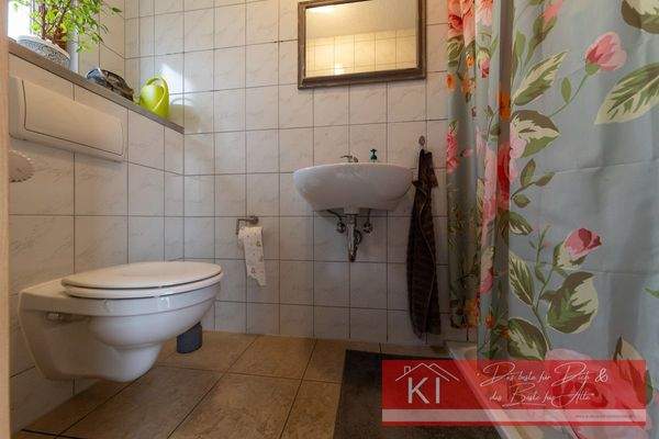 EG Gäste WC/ Dusche